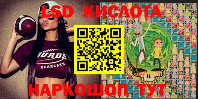 PSILOCYBIN Апшеронск