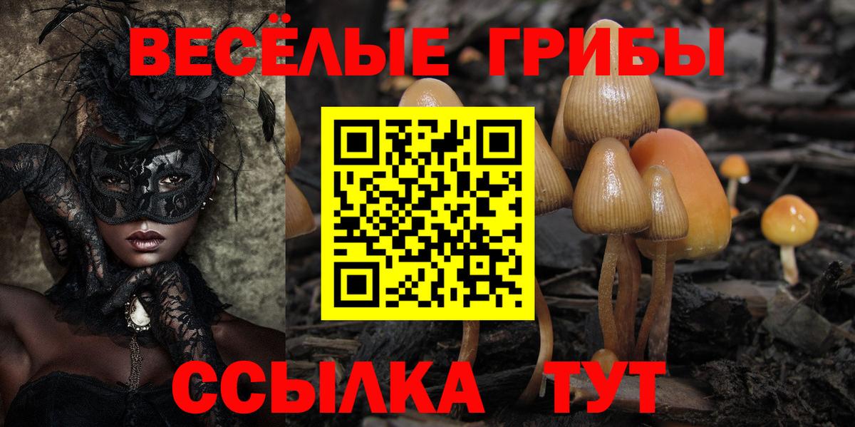 Галлюциногенные грибы ЛСД Всеволожск