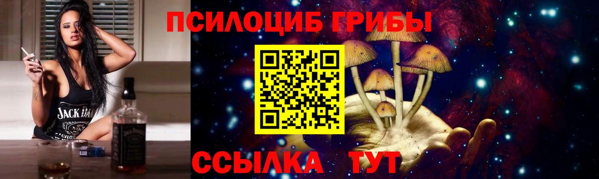 Псилоцибиновые грибы MAGIC MUSHROOMS  Вход с VPN  Всеволожск 